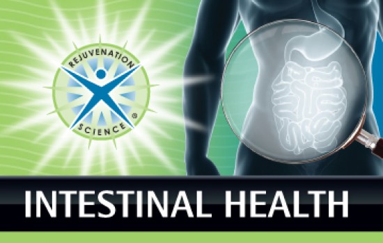 Intestinal Health and Detox