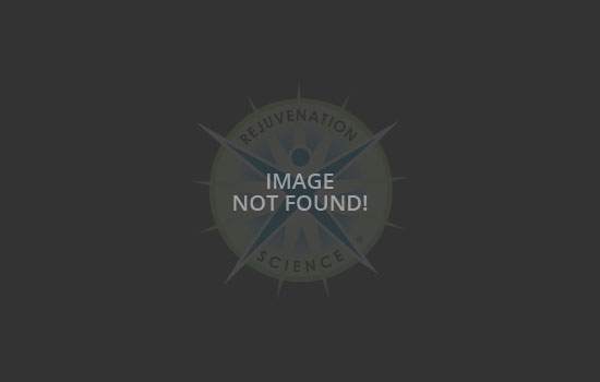 image not found